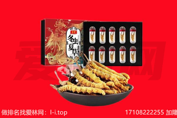 乌海海勃湾区回收虫草.jpg